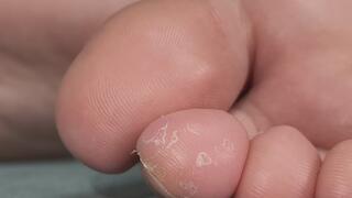 Huan Huan's feet under a macro lense