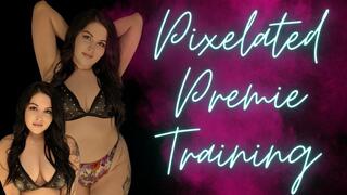 Pixelated Premie Training