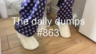 The daily dumps #863 mp4