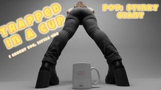 No escape from the mug: Subjected to my farts