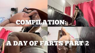 COMPILATION: A DAY OF FARTS PART 2