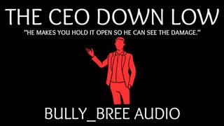 The CEO Down Low Audio