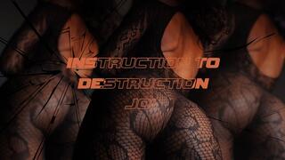 Instructions To Destruction JOI
