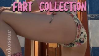 Big Fart Collection