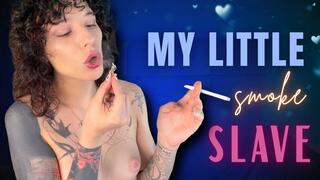 my little smoke slave