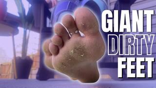 Giant Dirty Feet - Every toe, every dusty inch, every little detail… go ahead and take your time. These Giant Dirty Feet aren't going anywhere and neither are you.