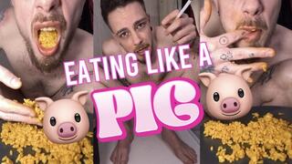 Eating like a PIG