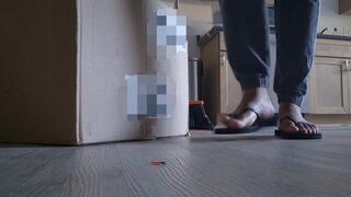 Unaware Giantess: Cleaning the Living Room While You Try Not To Be Seen