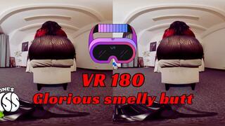 VR180 Glorious smelly buttt