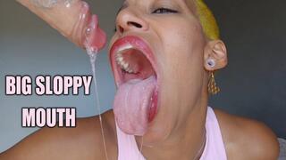 Big Sloppy Mouth
