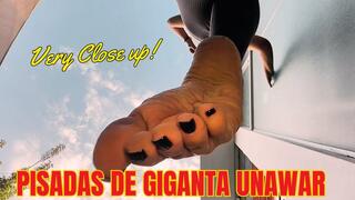 Pisadas de giganta unaware