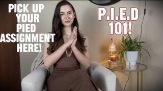 P.I.E.D Assignment Pt 1 of 4