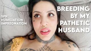 Breeding by My Pathetic Husband - Humiliating POV