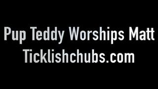 Pup Teddy Worships Matt's Feet in Jersey (1080p HD)