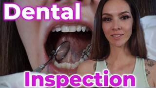 Dental Inspection – Close-Up Mouth & Silver Fillings Exam