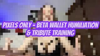 Pixels Only - Beta Wallet Humiliation & Tribute Training