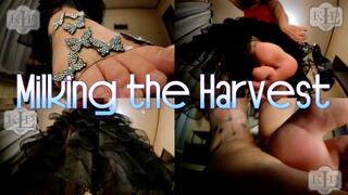 Milking the Harvest