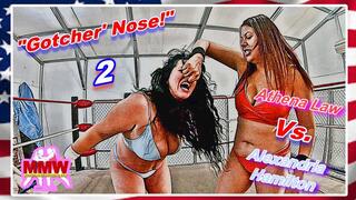 'Gotcher Nose! 2 WMV