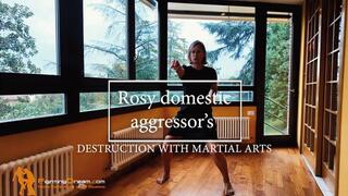 Rosy domestic aggressor's destruction with martial arts