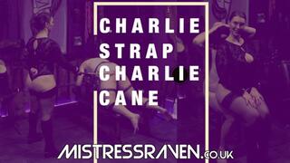 [824] Charlie Strap Charlie Cane