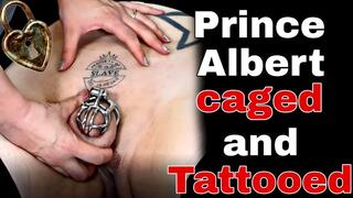 Rigid Chastity Cage Permanent Device Demo with Slave Tattoo Prince Albert Piercing Femdom FLR Real Couple
