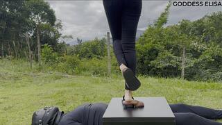 Crushing in the woods