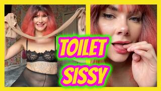 Pantyhose Toilet Sissy