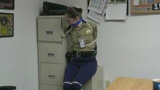 THE PRECINCT: THIRD WATCH-THE LONGEST NIGHT