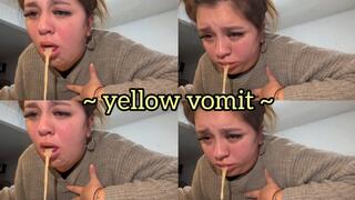 Yellow vomit in the kitchen + Desperate