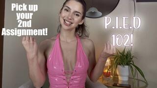 P.I.E.D Assignment Part 2 of 4