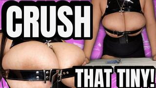 GIANTESS CRUSHING A TINY MAN WITH HER HUGE BOOBS