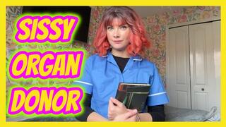 Sissy Organ Donor
