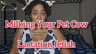 Milk your Pet Human Cow Lactation Fetish