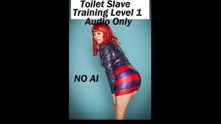Toilet Slave Training Level 1 AUDIO ONLY 1080