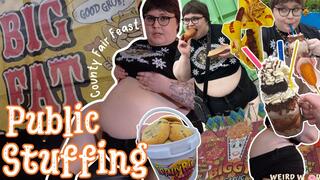 My Public All Day County Fair Stuffing (Fat Chat & Vlog) - WMV