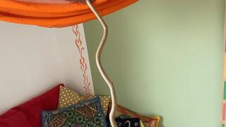 freudian object things