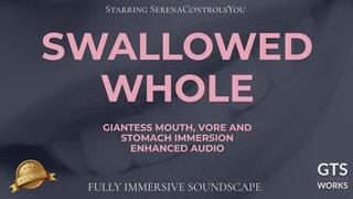 Giantess Vore POV Audio — Swallowed Whole (Oral Vore ? Stomach Immersion) by GTS Works