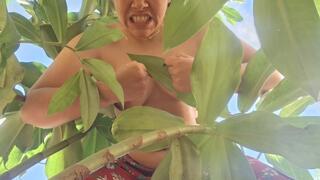 Giantess Unleashes Danger in the Forest - Beware!!