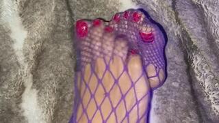 28. Melove Sexy Long Toes in Purple Fishnet