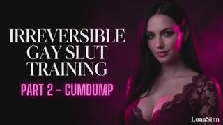 Irreversible gay slut training PART 2 CUMDUMP