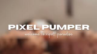 Pixel Pumper Paradise Ripoff