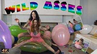Wild asses