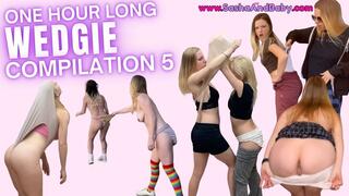 One Hour Wedgie Compilation 5 - Atomic - Chinlock - Pile Driver - Bully Loser Dweeb School Bully Tidy Whities