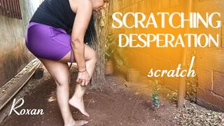 In the middle of the patio of his house scraping his feet (3)