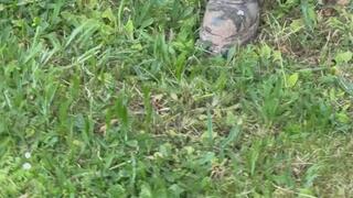 Mocking The unalive In My Muddy New Rock Reactor Boots