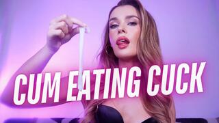CUM EATING CUCK - 4k - CEI Cuckold Humiliation JOI with Self Facial Ending!