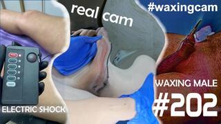 WAXING MALE ELECTRIC SHOCK #202