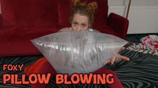 1450 New Pillows