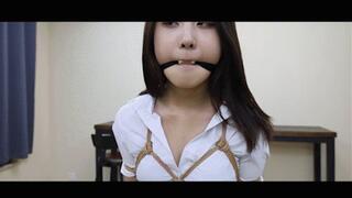 YT1954 Guests Or Prisoners