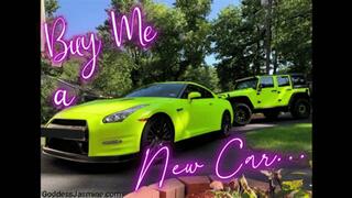 Buy Me a New Car - FinDom